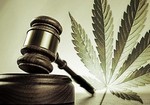 Cannabis-pro-e-contro