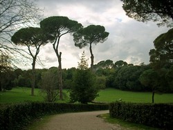 Villa Ada Roma